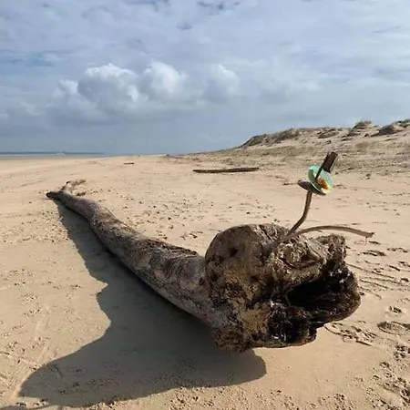A Avec Acces Piscine Apartment *