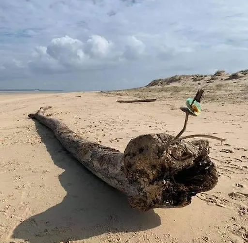 A Avec Acces Piscine Apartment *